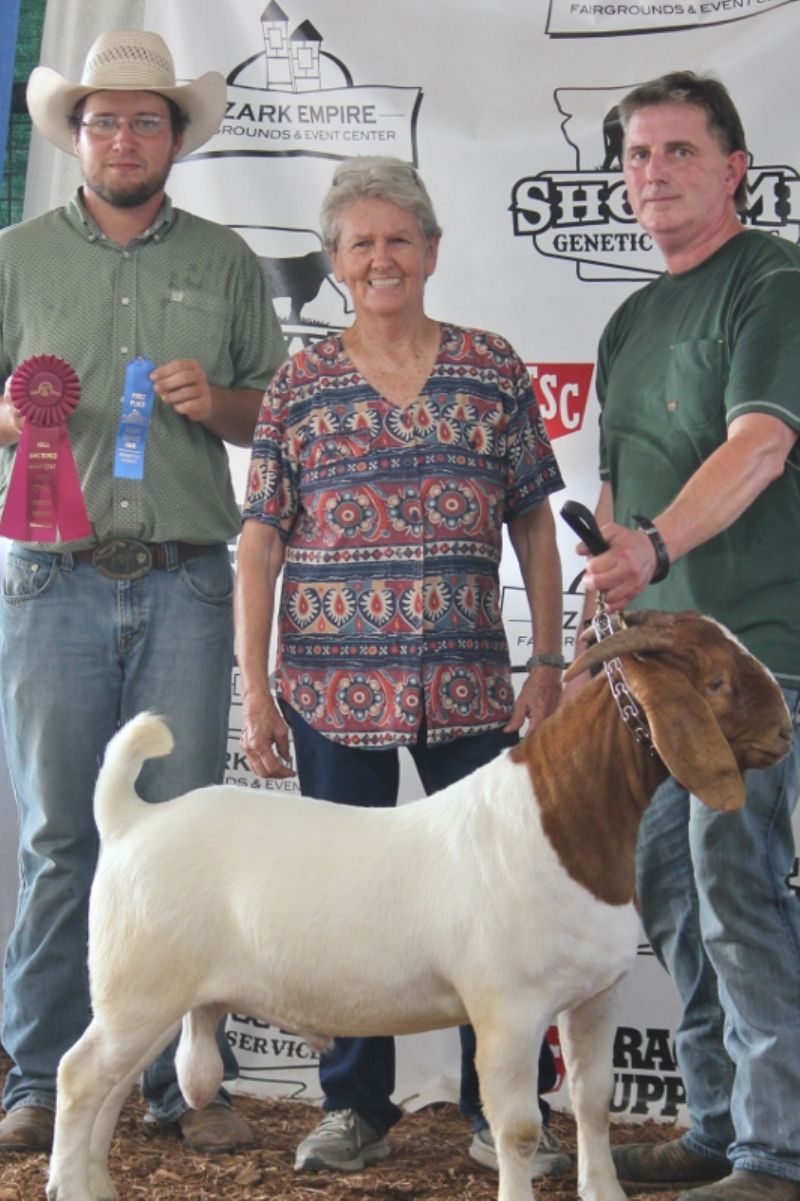 BEAR CREEK BC M1230 TRAVELER - Boer Goat Buck