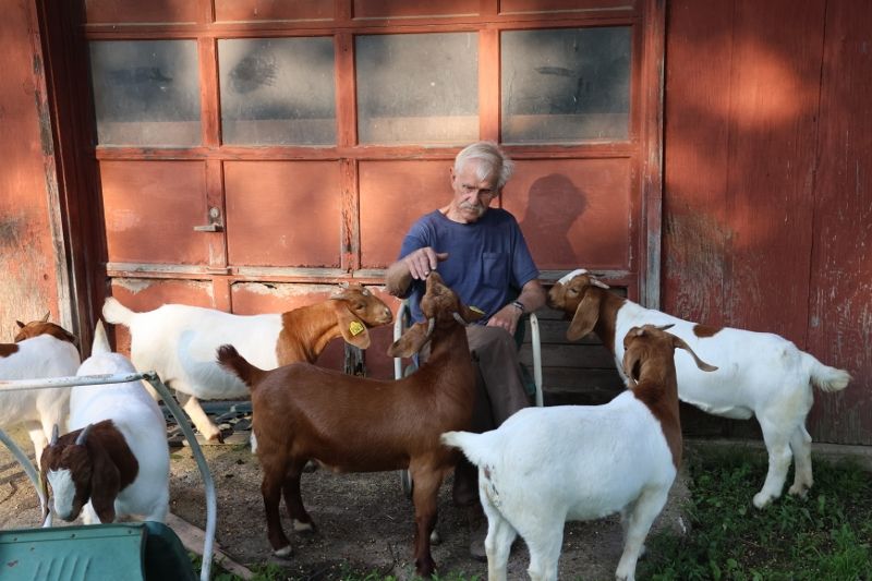 Bear Creek BC P1348 - Boer Goat Doe