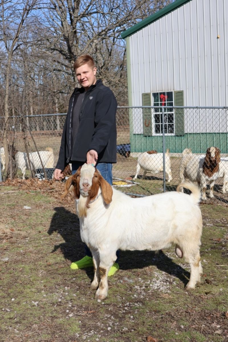 2RSG P33 Sandman Sired by DBL-D G116 100 Proof K99 Ennobled* and out of R4R K340.  Heading to KS.